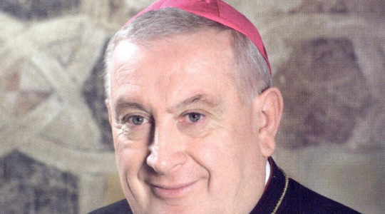 mons. Franco Giulio Brambilla a Vercelli