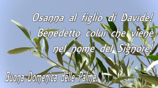 Domenica delle Palme in Cattedrale