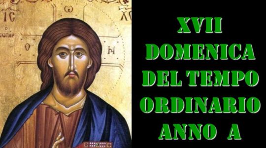 XVII domenica tempo ordinario Mt 13, 44-52