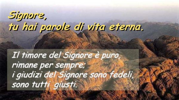 Signore, tu hai parole di vita eterna. Il timore del Signore è puro, rimane per sempre; i giudizi del Signore sono fedeli, sono tutti giusti.