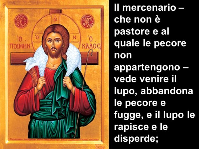 Il mercenario – che non è pastore e al quale le pecore non appartengono – vede venire il lupo, abbandona le pecore e fugge, e il lupo le rapisce e le disperde;