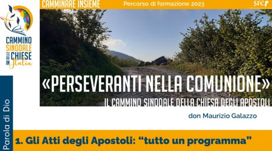 Step: un ciclo di video-contributi